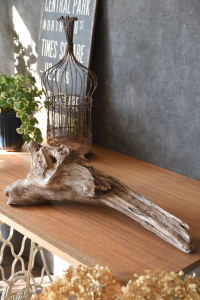 流木販売 かたまり流木