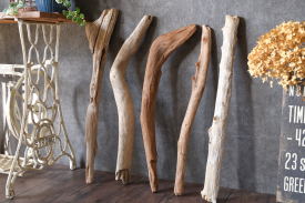 流木販売 流木棒セット