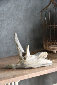 流木販売 小型サイズ