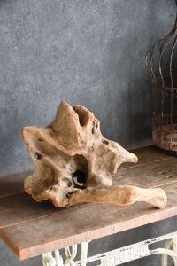 流木販売 中型サイズ