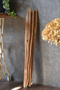 流木棒 長さ1m以内