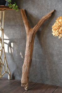 流木棒 長さ1m以内