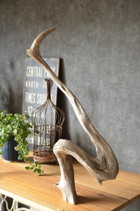 流木販売 かたまり流木