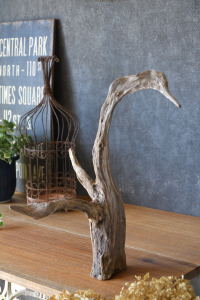 流木販売 かたまり流木