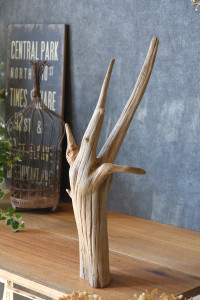 流木販売 根っこ流木