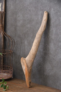 流木棒 長さ50cm～100cm