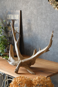 流木販売 根っこ流木