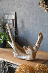 流木販売 根っこ流木