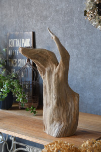 流木販売 根っこ流木