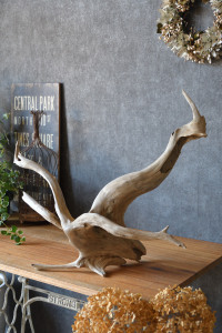 流木販売 根っこ流木