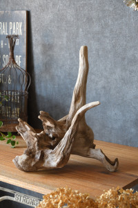 流木販売 根っこ流木