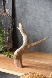 流木販売 根っこ流木