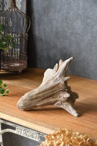 流木販売 かたまり流木