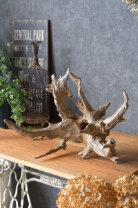 流木販売 根っこ流木