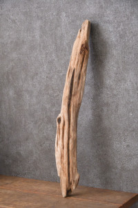 流木棒 長さ50cm未満