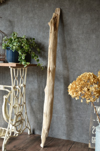 流木販売 流木棒 長さ1m～1.5m