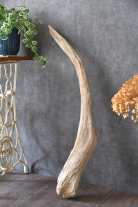 流木棒 長さ50cm～100cm