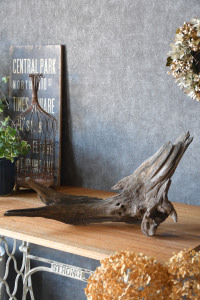 流木販売 根っこ流木