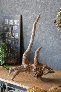 流木販売 根っこ流木