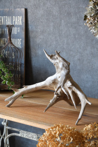 流木販売 根っこ流木