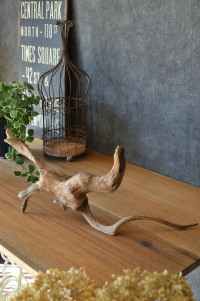 流木販売 根っこ流木