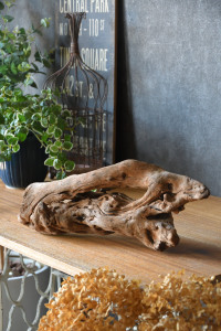 流木販売 かたまり流木