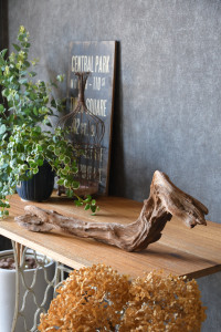 流木販売 かたまり流木