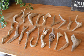 流木販売 流木のかけらセット