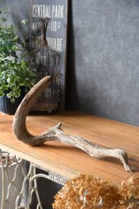 流木販売 根っこ流木