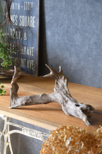 流木販売 根っこ流木