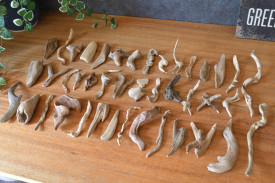 流木販売 流木のかけらセット