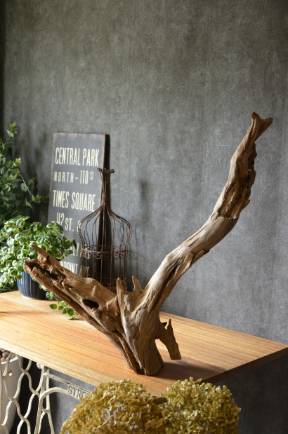 訳あり 週末限定大幅値下げ 希少１点もの流木 アカギ流木根っこ 魚用品 水草