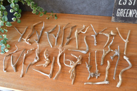 流木販売 流木のかけらセット