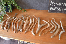 流木販売 流木のかけらセット