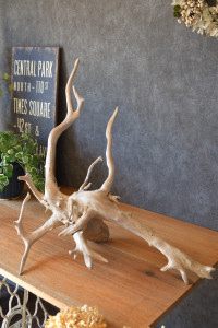 流木販売 根っこ流木