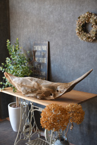 流木販売 かたまり流木