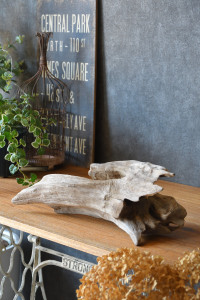 流木販売 かたまり流木