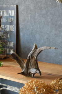 流木販売 根っこ流木