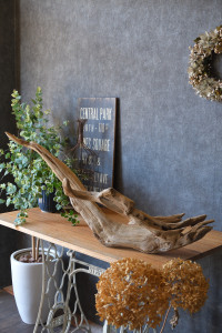 流木販売 根っこ流木