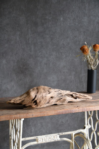 流木販売 中型サイズ