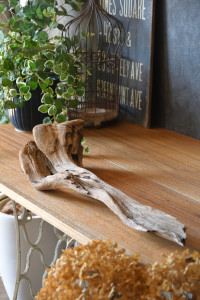 流木販売 かたまり流木