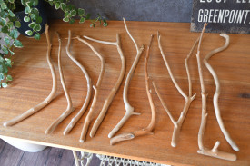 流木販売 流木小枝セット