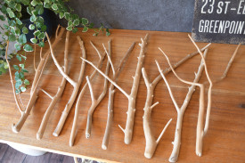 流木販売 流木小枝セット