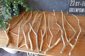 流木販売 流木小枝セット