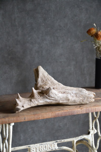 流木販売 中型サイズ