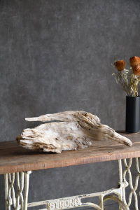 流木販売 中型サイズ