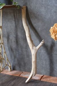 流木棒 長さ1m以内