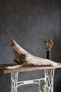 流木販売 大型サイズ