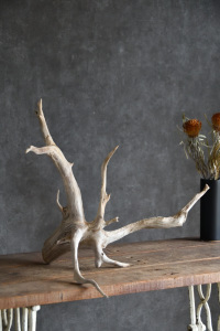 流木販売 大型サイズ