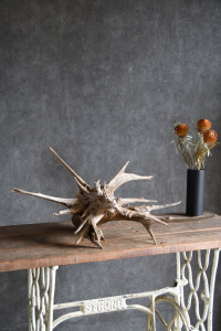 流木販売 大型サイズ